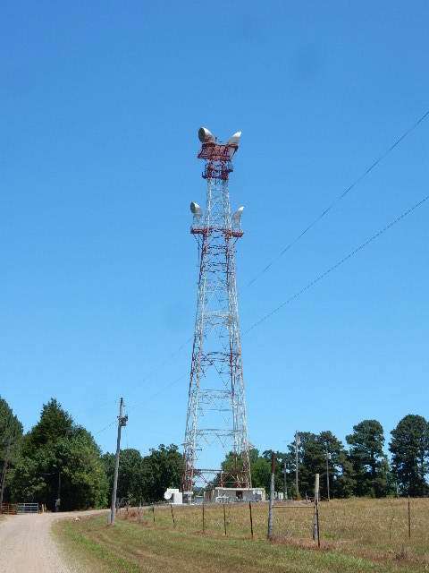 20017Whole Tower