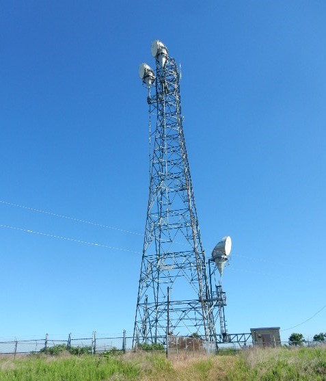 20019Whole Tower