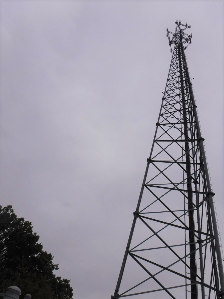 19001Whole Tower