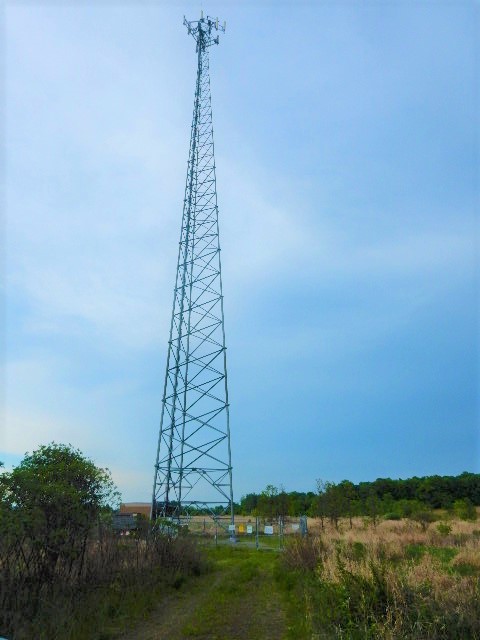 16045Whole Tower